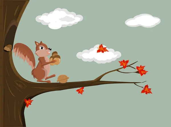 Illustratie van een eekhoorn — Stockfoto
