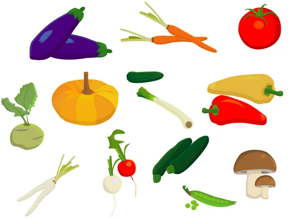 Collection de différents légumes sur fond blanc — Image vectorielle