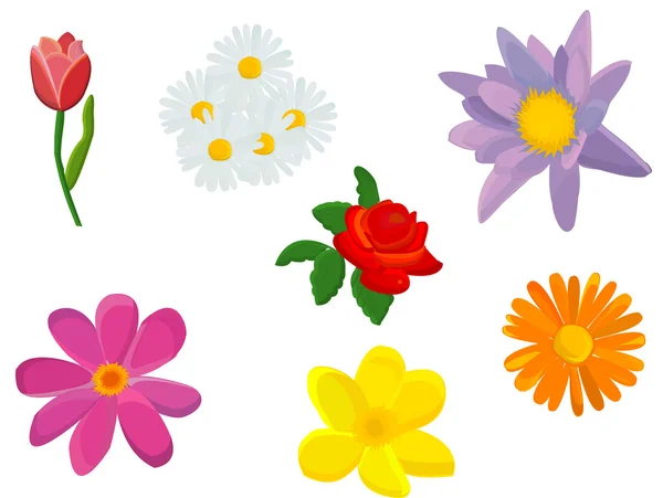 Ilustrace s květinami izolovaných na bílém pozadí — Stockový vektor
