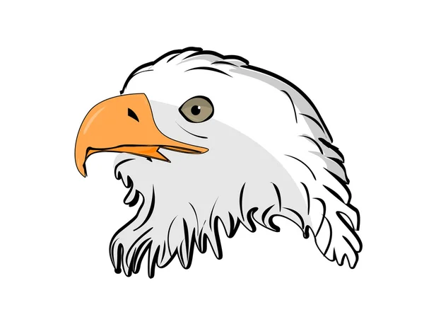 stock vector illustration of vector head eagle