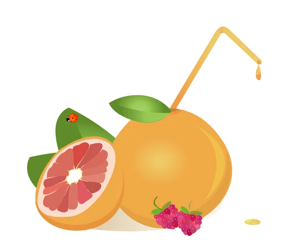 Grapefruits juice ,vector — Stock Vector