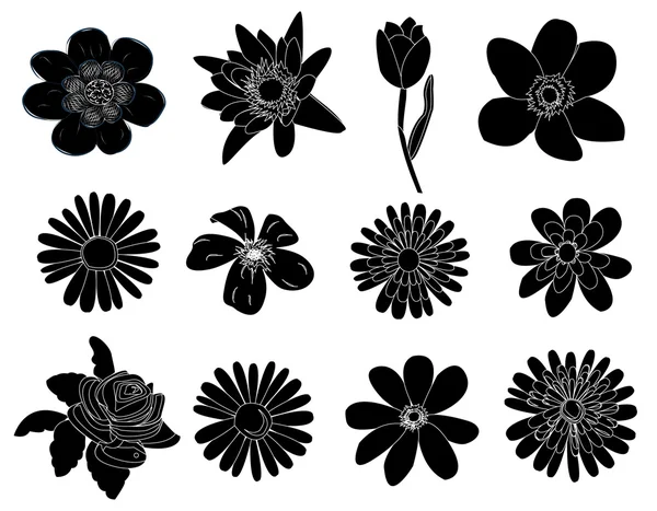 Zestaw elementów projektowych czarnego kwiatu — Wektor stockowy