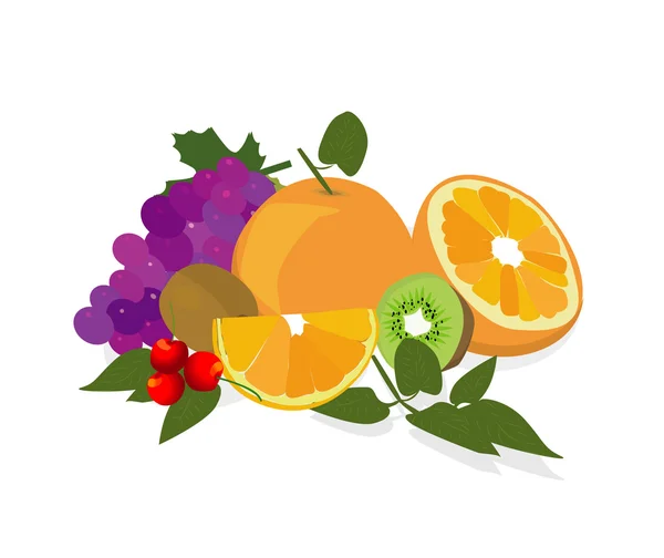 Vektorillustration von Früchten — Stockvektor