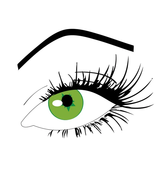 Beautifull Eye — Stock Vector