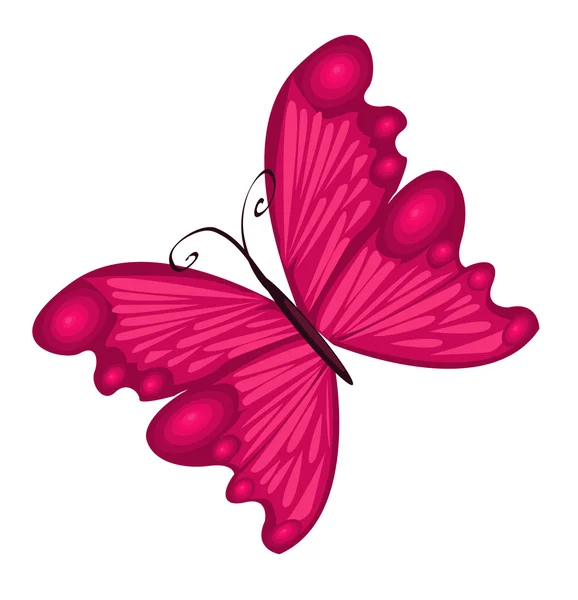 Векторна ілюстрація деталізованого яскравого кольору метелика . — стоковий вектор