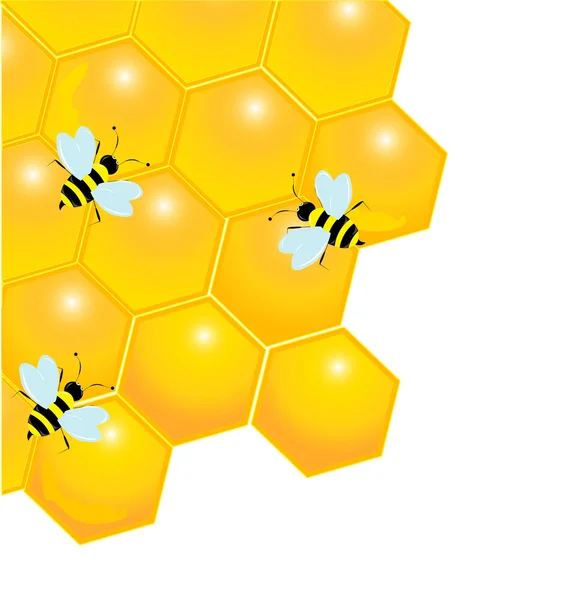 Hochglanz-Waben mit Bienen isoliert auf weiß — Stockvektor
