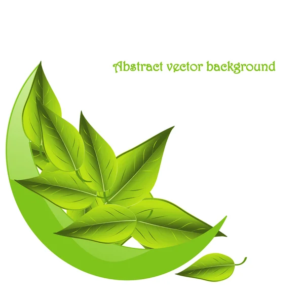Abstrakte ökologisch grüne Blattvektorillustration — Stockvektor