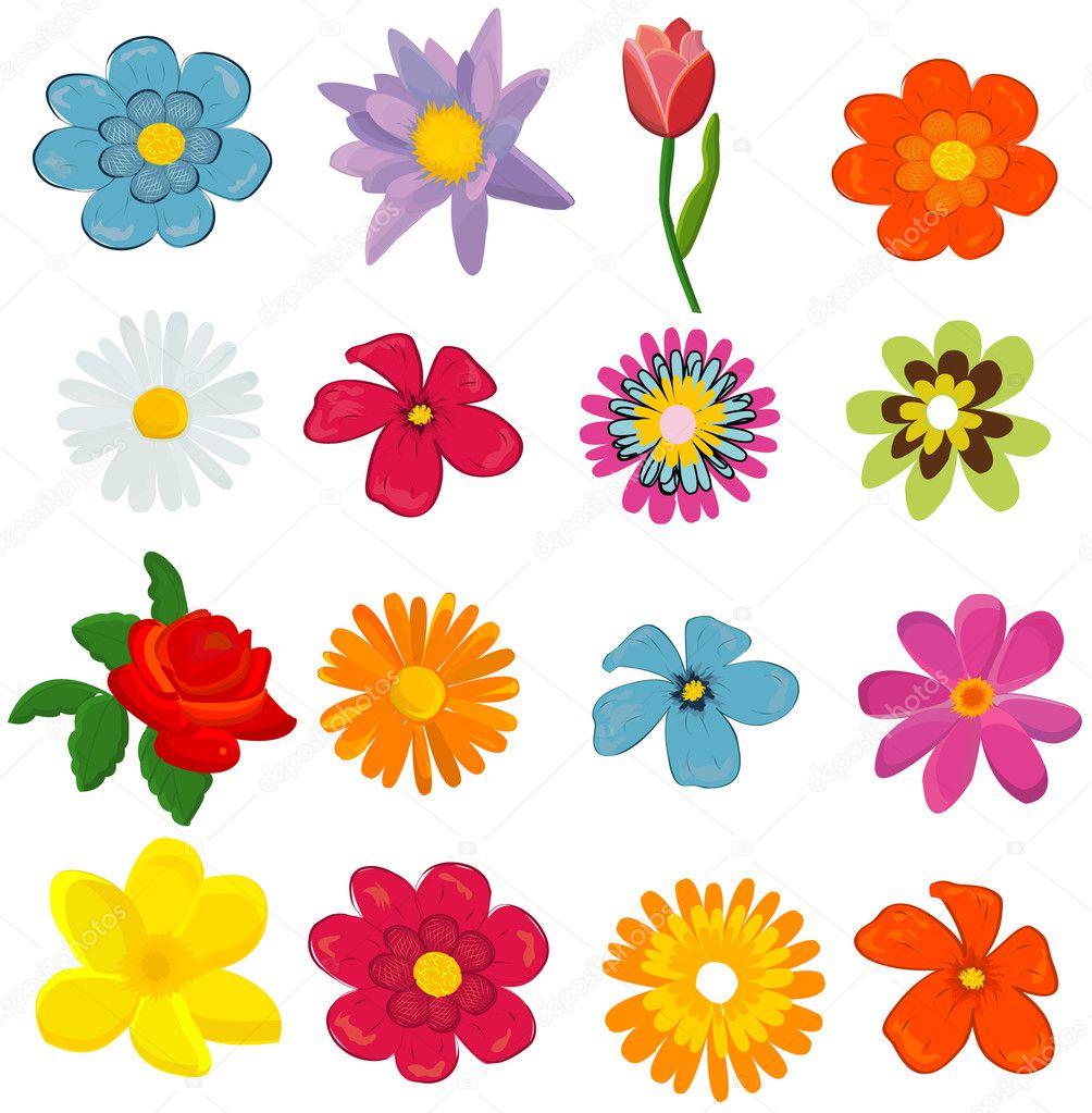 set of flower graphics vector