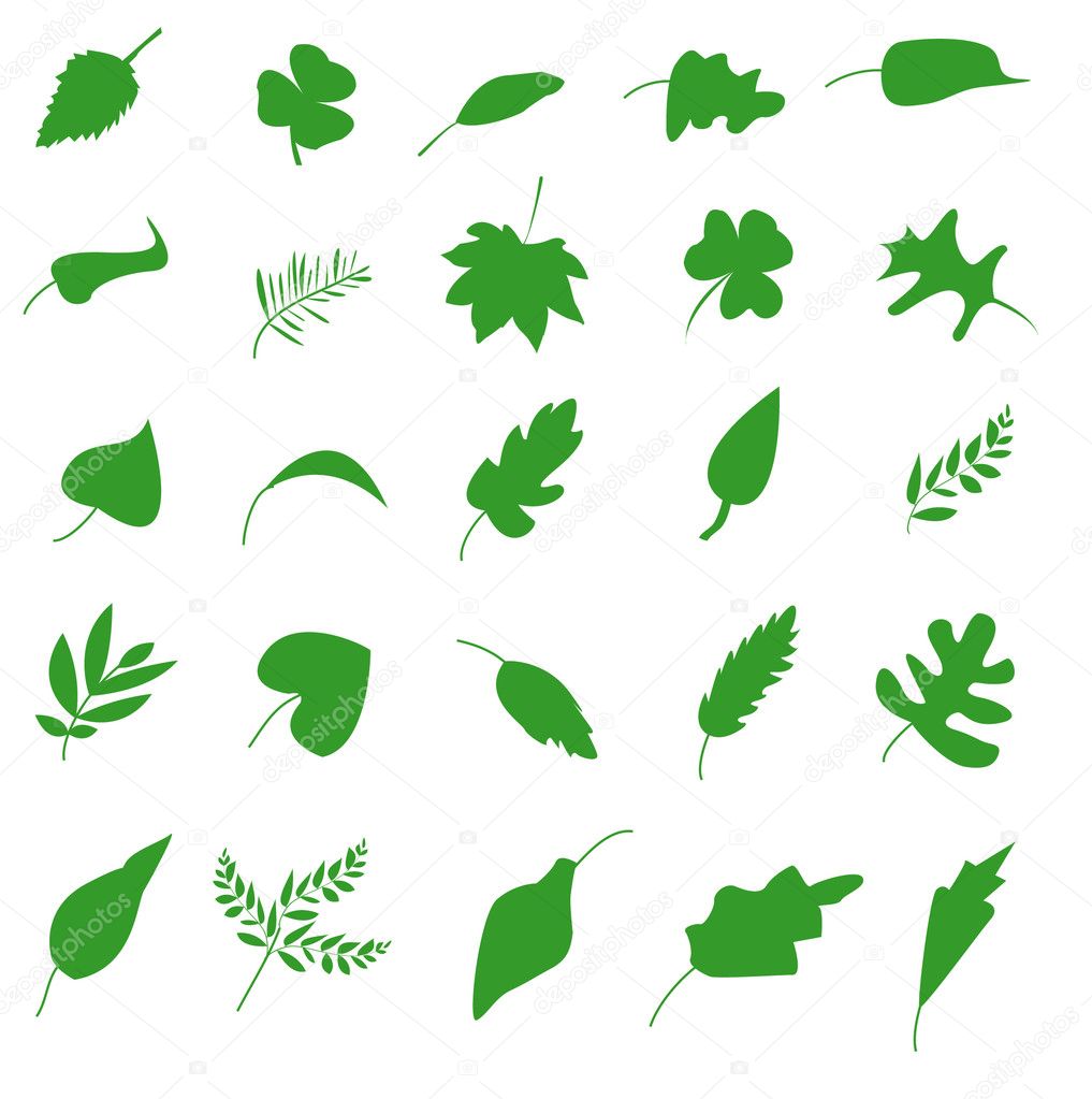 Green leaf icons set. Nature & ecology image.