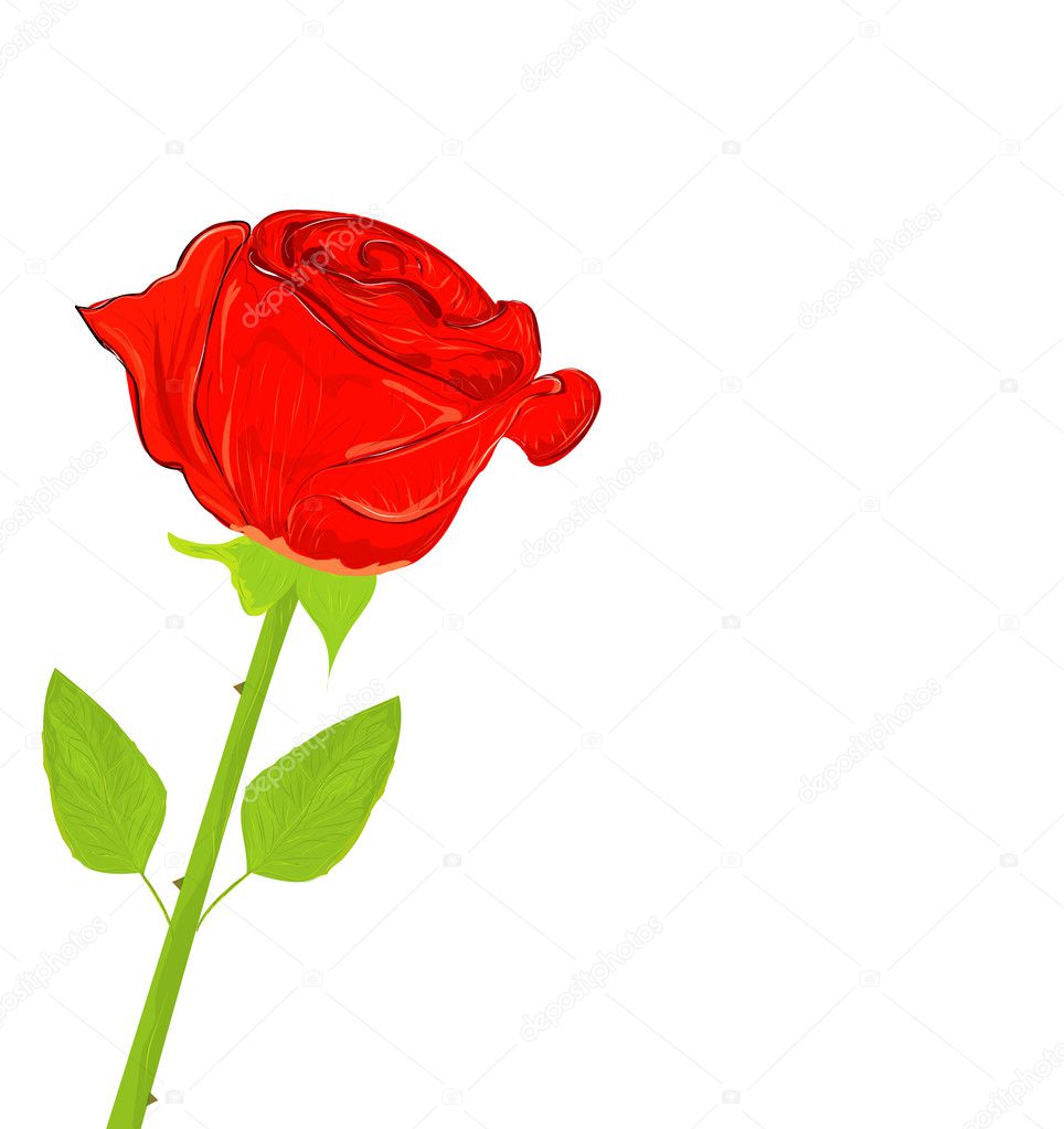 Beautiful red rose, vector illustration — Stock Vector © joinanita #5797226