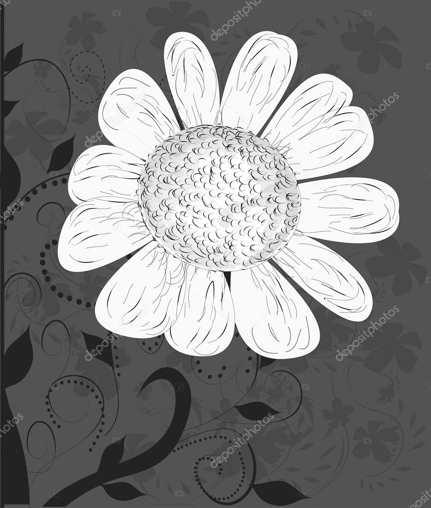 vector flower background...