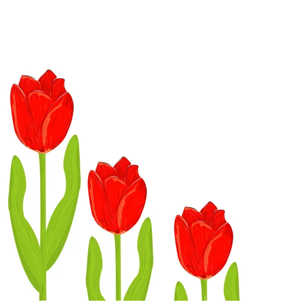 Röd tulpan våren kort — Stock vektor