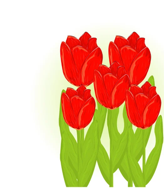 Vackra röda tulpaner — Stock vektor