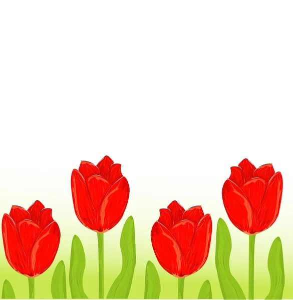 Rode tulip voorjaar kaart — Stockvector