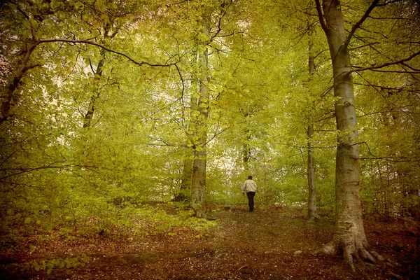 Самотній старший у весняному лісі — стокове фото