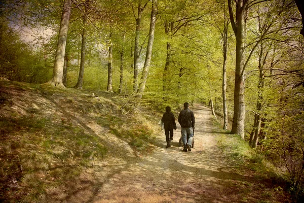 Familie wandeling in het bos — Stockfoto