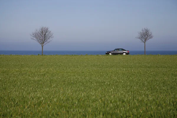 Bil i våren landskap — Stockfoto
