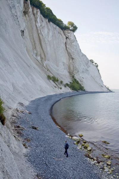 The chalk cliffs of Moen — Stock Photo, Image