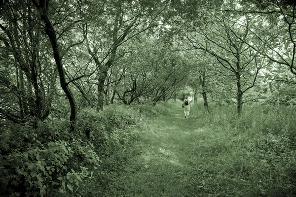 Sping paseo por el bosque — Foto de Stock