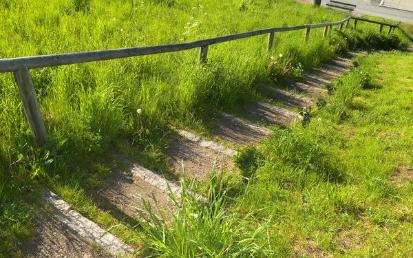Лестницы в летнее время — стоковое фото