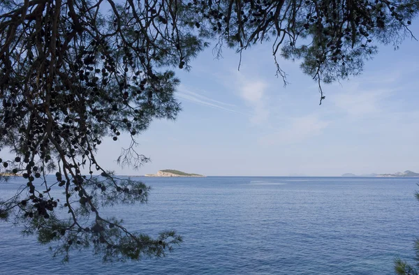 Marco de verano Croacia — Foto de Stock