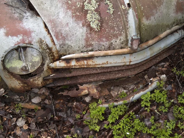 Rottami auto nella natura — Foto Stock