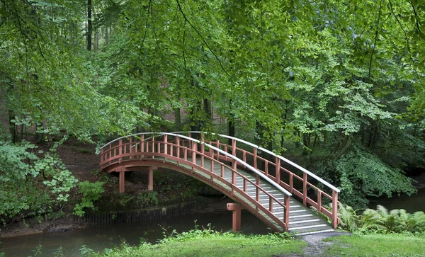 Voetgangersbrug in het park — Stockfoto