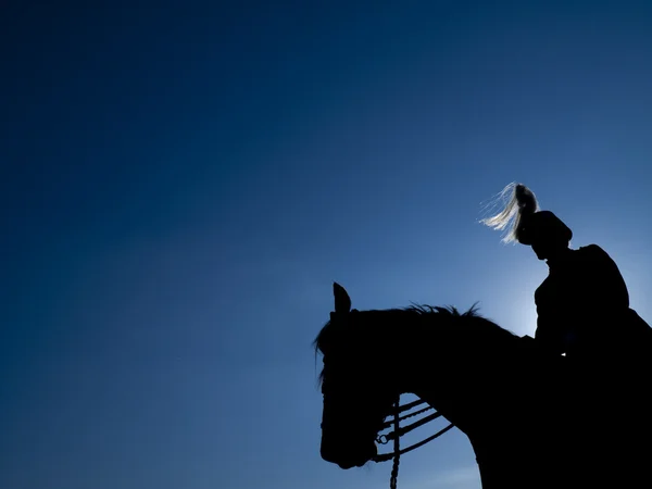 夜の馬ガード — ストック写真