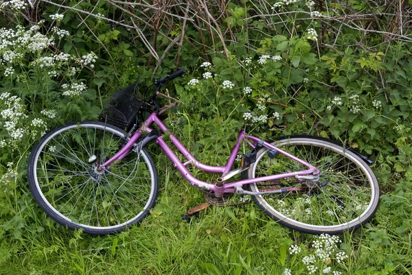 Велосипед на обочине дороги — стоковое фото