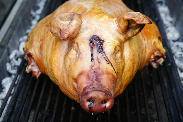 stock image Barbeque pig