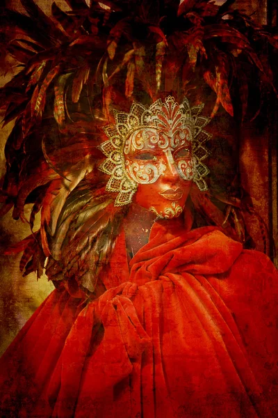 Carnival costume — Stock Photo, Image