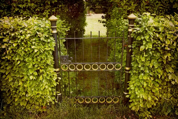 Cancello dorato al parco — Foto Stock