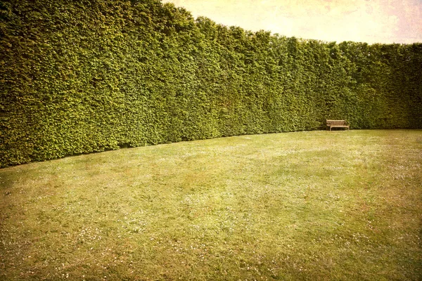 Hedges e banco — Fotografia de Stock