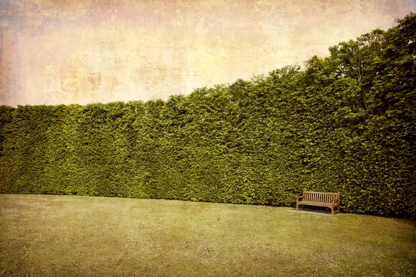 Bench and hedges — Stock Photo, Image