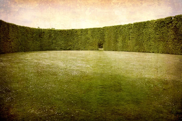 Hedges and room — Stock Photo, Image