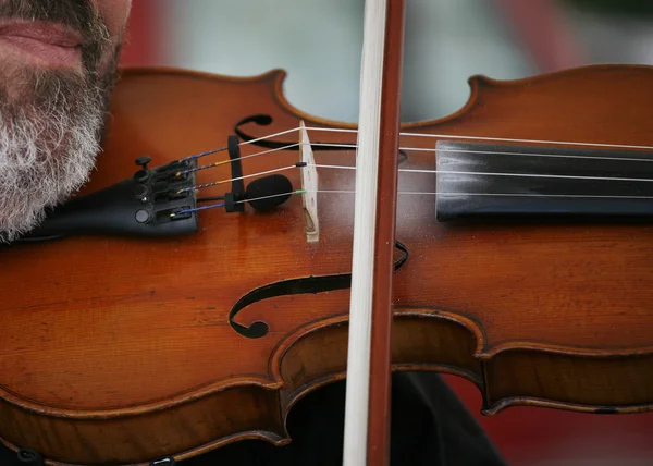 Fiddler — Fotografie, imagine de stoc