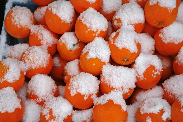 Oranges with snow — Stock Photo, Image
