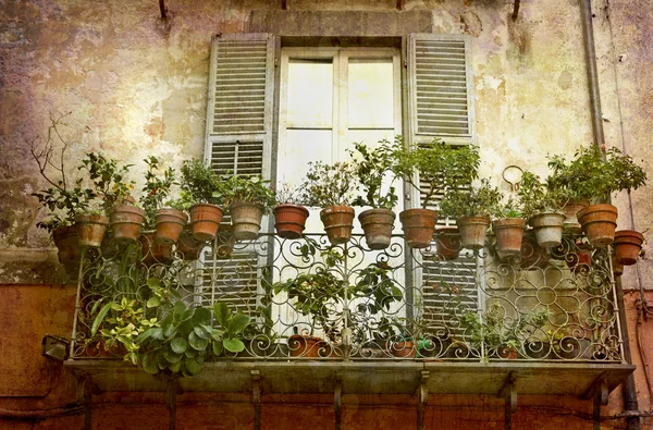 Alter Balkon mit Pflanzen — Stockfoto