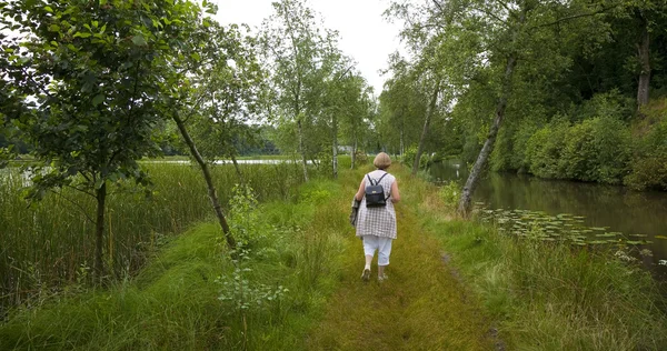 Nature walk Denmark — Stock Photo, Image
