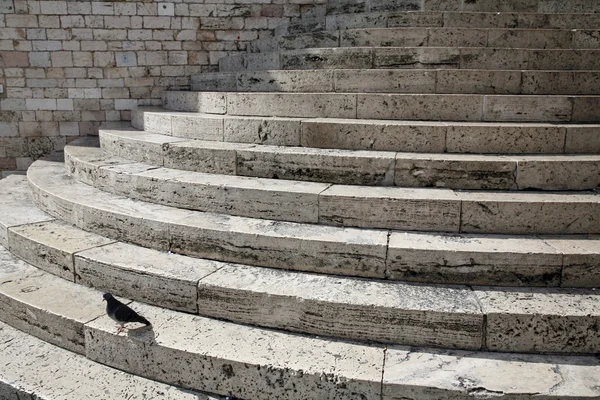 ピジョンと素敵な大理石の階段 — ストック写真