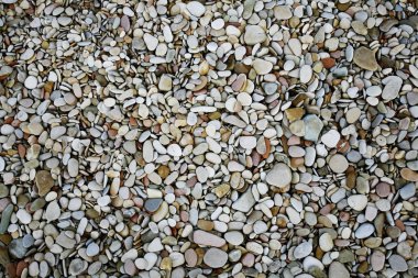 Pebbles background clipart