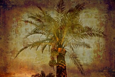 Date palm retro clipart