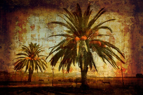 Date palms by Lake Puccini — Stock Photo, Image