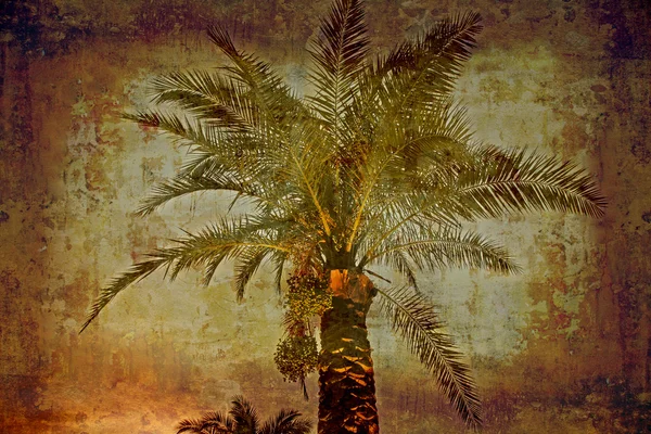 Даты пальмового ретро — стоковое фото