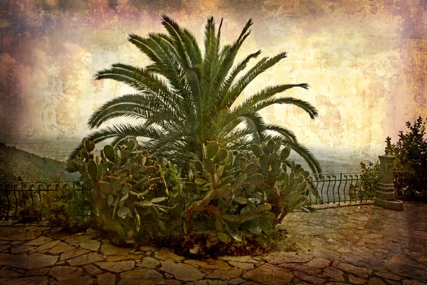 Palma e cacto Toscana — Fotografia de Stock