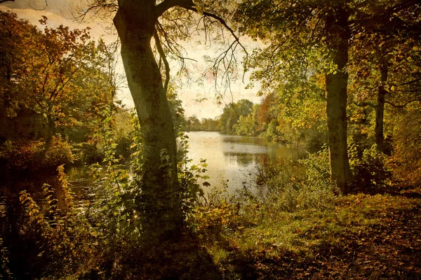 湖のほとり秋 — ストック写真