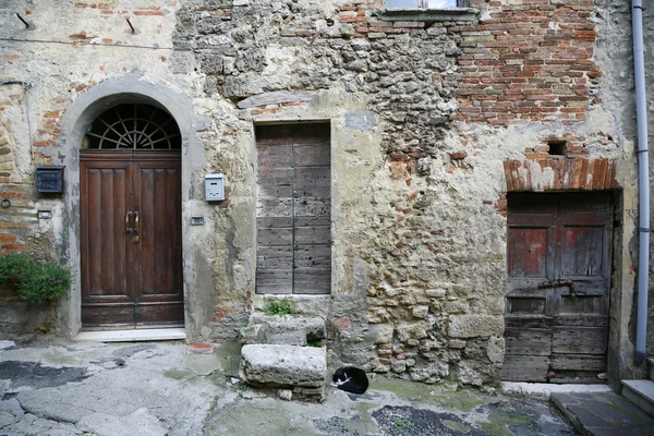 Gatto addormentato vicino alla porta — Foto Stock