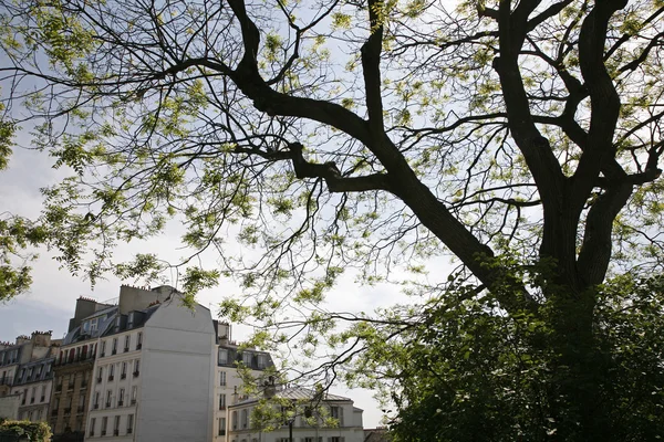 Весна Парижа — стокове фото