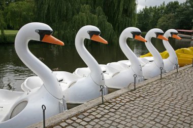 Swans - Odense Denmark clipart