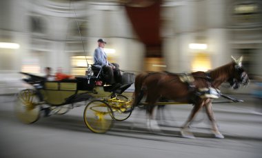 Horse cab in action Vienna clipart